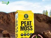 Tìm hiểu về Peatmos - than bùn rêu!